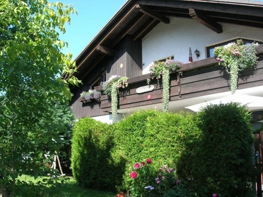 Harzhaus Rauch Leilighet Braunlage Rom bilde